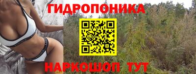 спайс Будённовск