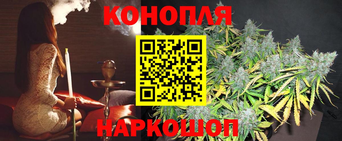 Каннабис сатива Лосино-Петровский